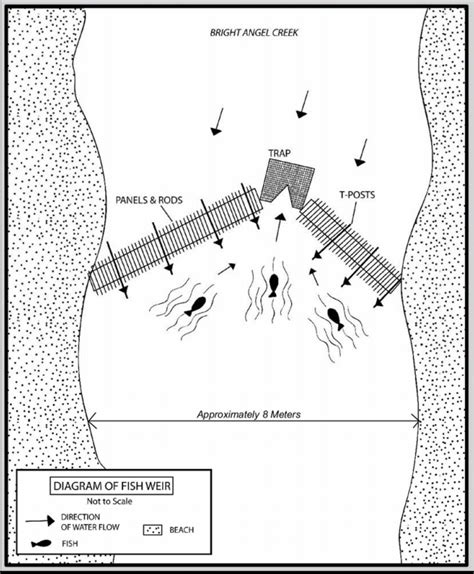 Fish stocked dams and weirs search .